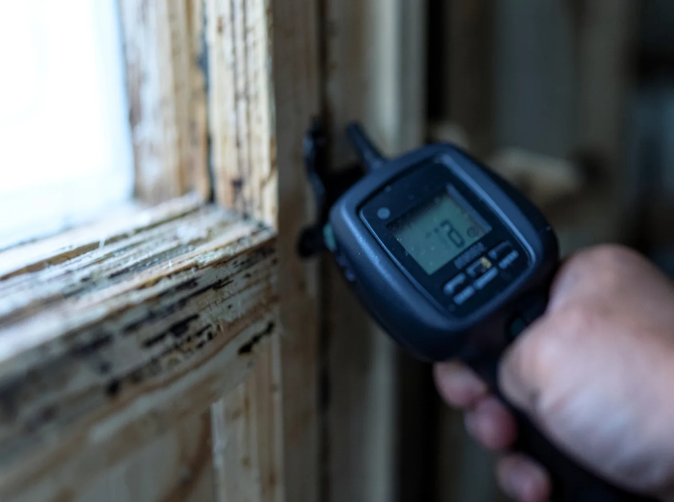 Commercial Water Damage Restoration in Harwood, TX
